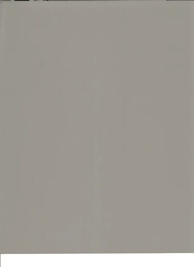 Stone Gray