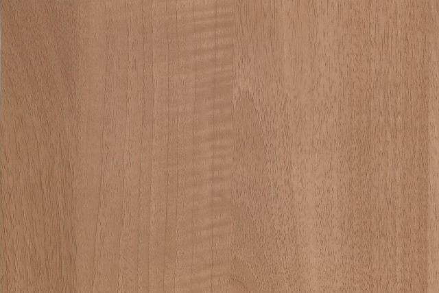 Brazilwood