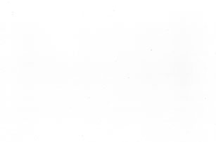Designer White