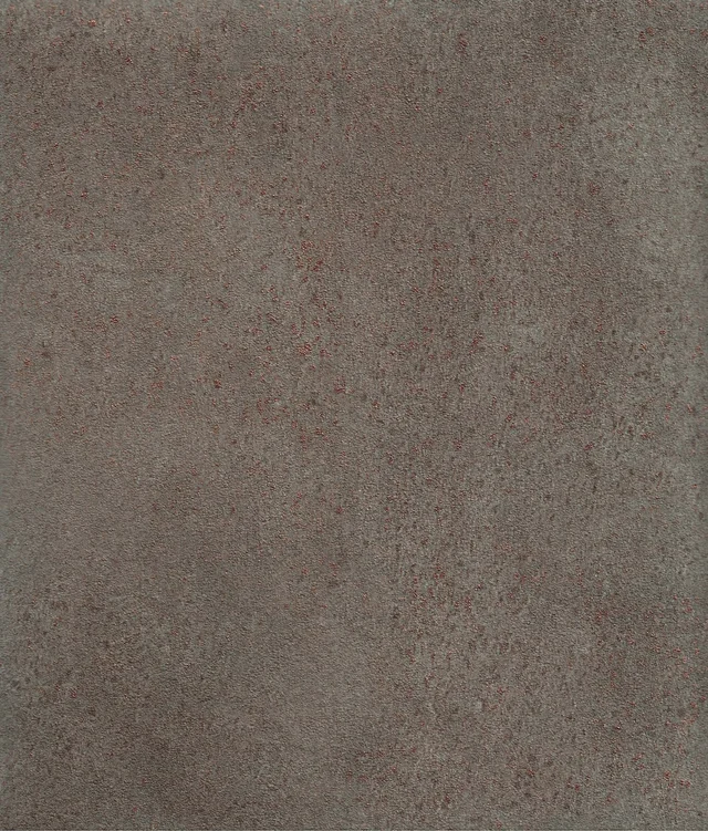 Rock Mudstone