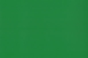 Neon Green
